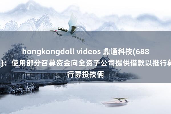 hongkongdoll videos 鼎通科技(688668.SH)：使用部分召募资金向全资子公司提供借款以推行募投技俩
