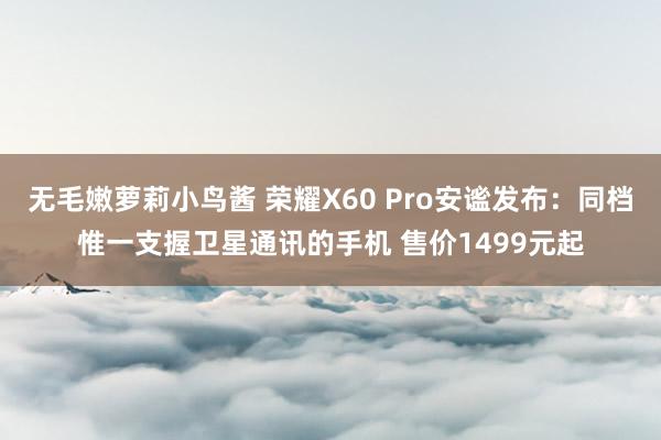 无毛嫩萝莉小鸟酱 荣耀X60 Pro安谧发布：同档惟一支握卫星通讯的手机 售价1499元起