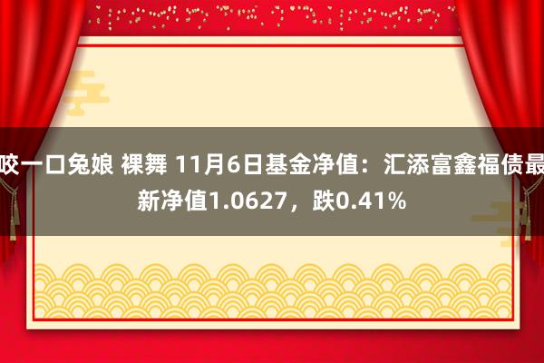 咬一口兔娘 裸舞 11月6日基金净值：汇添富鑫福债最新净值1.0627，跌0.41%