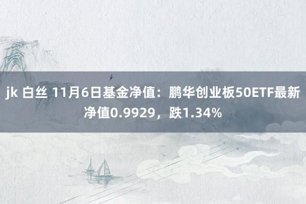 jk 白丝 11月6日基金净值：鹏华创业板50ETF最新净值0.9929，跌1.34%