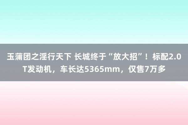 玉蒲团之淫行天下 长城终于“放大招”！标配2.0T发动机，车长达5365mm，仅售7万多