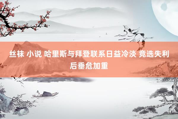 丝袜 小说 哈里斯与拜登联系日益冷淡 竞选失利后垂危加重