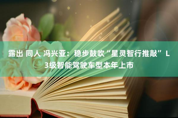 露出 同人 冯兴亚：稳步鼓吹“星灵智行推敲” L3级智能驾驶车型本年上市