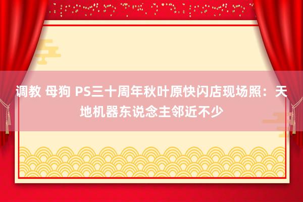调教 母狗 PS三十周年秋叶原快闪店现场照：天地机器东说念主邻近不少
