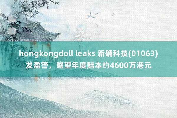 hongkongdoll leaks 新确科技(01063)发盈警，瞻望年度赔本约4600万港元