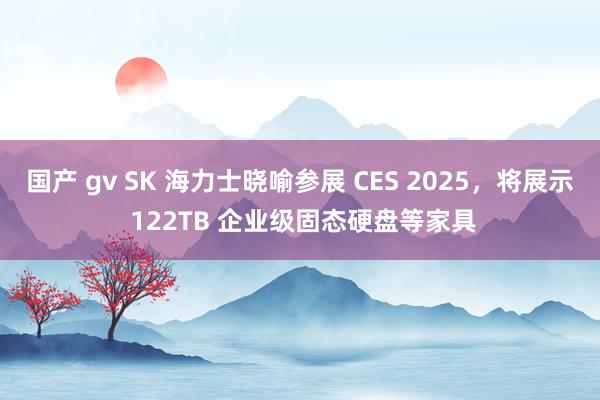 国产 gv SK 海力士晓喻参展 CES 2025，将展示 122TB 企业级固态硬盘等家具
