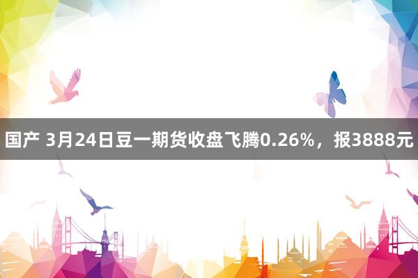 国产 3月24日豆一期货收盘飞腾0.26%，报3888元
