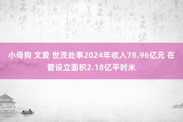 小母狗 文爱 世茂处事2024年收入78.96亿元 在管设立面积2.18亿平时米