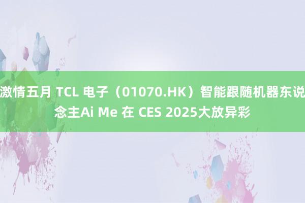 激情五月 TCL 电子（01070.HK）智能跟随机器东说念主Ai Me 在 CES 2025大放异彩