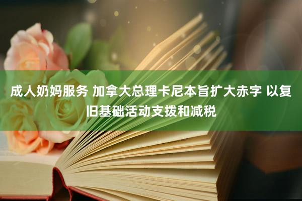 成人奶妈服务 加拿大总理卡尼本旨扩大赤字 以复旧基础活动支拨和减税