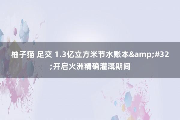 柚子猫 足交 1.3亿立方米节水账本&#32;开启火洲精确灌溉期间