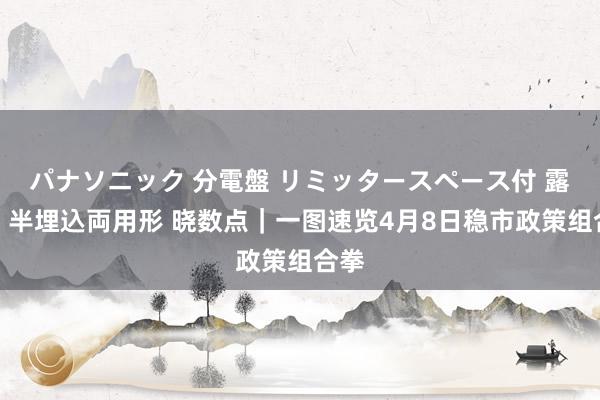 パナソニック 分電盤 リミッタースペース付 露出・半埋込両用形 晓数点｜一图速览4月8日稳市政策组合拳